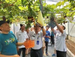 Wisata Pertanian Modern Bojonegoro: Edukasi dan Teknologi Menyatu