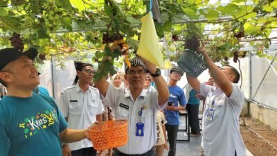 Img 20250703 wa0104
