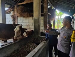 Bhabinkamtibmas Nglawak Pantau Peternakan Warga, Dukung Program Ketahanan Pangan