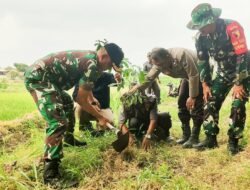 Sukseskan Program Unggulan KASAD, Satgas TMMD 125 Bojonegoro dan Warga Soko Tanam Ribuan Bibit Pohon Produktif
