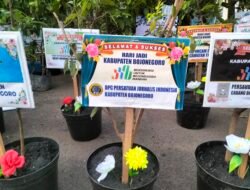 Simbol Persatuan, Pohon Beringin dari PJI Bojonegoro Warnai HJB ke-348