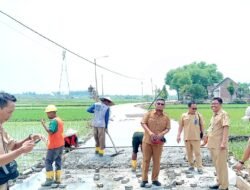 Warga Tegalkodo Menyambut Gembira Dengan Dibangunnya Jalan Rigid Beton Program BKKD