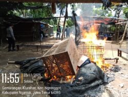 Polsek Ngronggot Bongkar Lokasi Diduga Perjudian Sabung Ayam di Klurahan