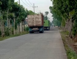 Kades Suwaloh Diduga Biarkan Truk Pasir Rusak Jalan Desa Demi Cuan
