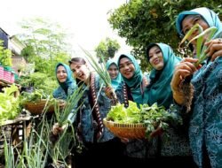 Ketua TP PKK Provinsi Jatim Arumi Bachsin, Bersama Cantika Wahono, Menyaksikan  Keberhasilan Para Kader Dalam Mengolah Lahan Sempit Menjadi Produktif.
