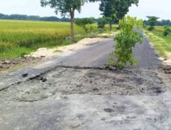 BKKD Jalan Aspal Rp2 Miliar di Ngampal Sumberrejo Bojonegoro Rusak Sebulan Usai Dikerjakan, Audit Diminta Bongkar Total