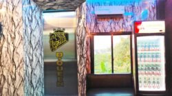 D Queen Bojonegoro Jadi Perbincangan, Izin dan Miras Wajib Diselidiki