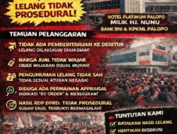 Ratusan Massa FOKAL Luwu Raya Kepung Pengadilan Negeri Palopo, Putusan Ditunda Dua Pekan