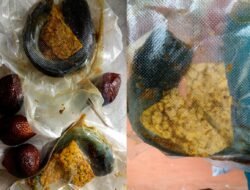 Diduga Langgar Standar MBG, Siswa SDN 013 Tembilahan Terima Ikan Lele Mentah dan Tempe Belum Dimasak