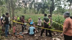 Petani Bogorejo Ditemukan Meninggal di Lahan Jagung, Diduga Akibat Riwayat Penyakit