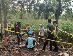 Petani Bogorejo Ditemukan Meninggal di Lahan Jagung, Diduga Akibat Riwayat Penyakit