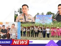 Sekda Madina Hadiri Panen Raya Jagung Serentak dan Launching 4 SPPG Polres