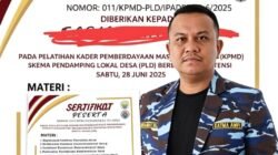 SATMA AMPI Madina Soroti Dugaan Mafia Pengutipan Rekrutmen Pendamping Desa, Nama “AN”, “ZN” dan Dugaan Staf Ahli “FD” Disebut