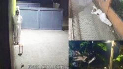 Pocong Keliling Viral, Polisi Ungkap Dugaan Modus Teror untuk Pencurian dan Perampokan