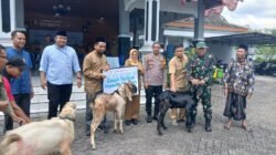 Penyaluran Hewan Kurban BDI EMCL di Kecamatan Gayam