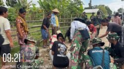 Genjot Perekonomian Warga, Personil Satgas TMMD 129 Kodim Belu Bersama Masyarakat Bahu Membahu Perbaiki Jalan Tani
