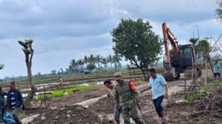 Dansatgas TMMD 129 Kodim Belu Cek Langsung Progres Peningkatan Jalan Usaha Tani