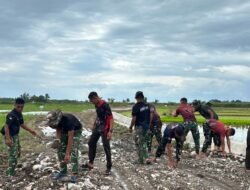 Capai 10 Persen di Hari Ke-10, Satgas TMMD 129 Kodim Belu Pacu Peningkatan Jalan Usaha Tani