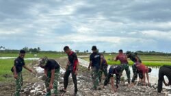 TMMD Hari Ke-10, Peningkatan Jalan Usaha Tani Terus Dikebut, Progres Capai 10 Persen