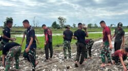 Progres TMMD 129 Kodim Belu Hari Ke-10, Pengerjaan Jalan Usaha Tani Capai 10 Persen