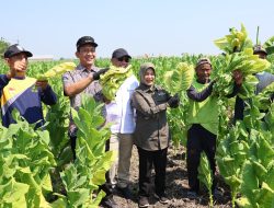 Bupati dan Wakil Bupati Bojonegoro Dialog Langsung dengan Warga di Acara Medhayoh Desa Cengkir