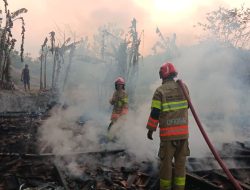 Tim Damkarmat Bojonegoro Gerak Cepat Padamkan Kebakaran Tiga Rumah di Ngraho