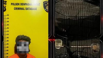 IMG 20260804 WA0189