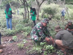 Satgas TMMD 129 Bersama Forkopimcam dan Masyarakat Gencarkan Penghijauan di Manggelewa