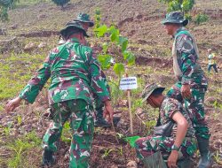 Sinergi TNI dan Masyarakat, 800 Bibit Mahoni, Tawo’a dan Asam Ditanam di Desa Banggo