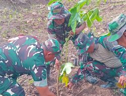 Jaga Kelestarian Lingkungan, Satgas TMMD 129 Tanam 800 Bibit Pohon