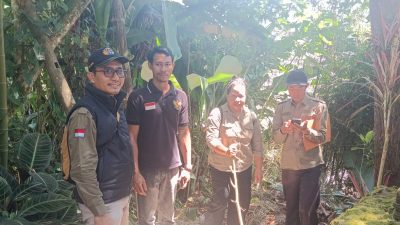 IMG 20260813 WA0273
