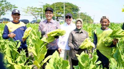 IMG 20260813 WA0288