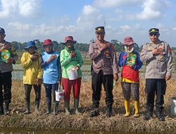 Semangat Ketahanan Pangan, Waka Polsek Mengwi Tanam Jagung Bersama Petani
