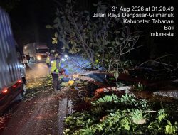 Respon Kilat Layanan 110, Polsek Selemadeg Evakuasi Pohon Tumbang