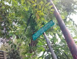 Pemkab Bojonegoro Tambah Dua RTH Baru di Kota, Ada Taman Migas dan Taman Halte
