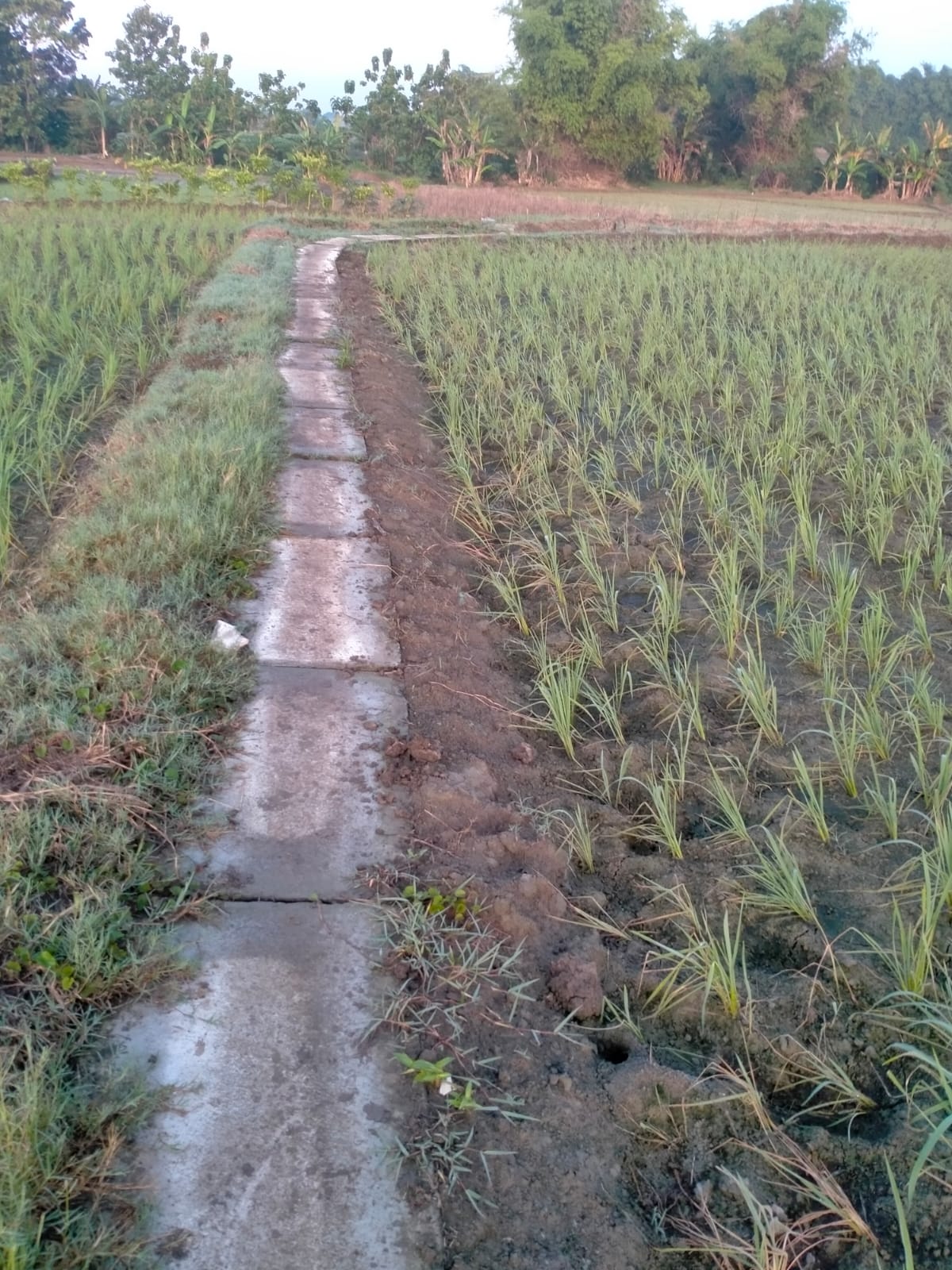 IMG 20260911 WA0230(1)