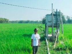 Dulu Langganan Banjir dan Kekeringan, Kini Desa Lengkong Panen Raya Berkat Sumur Bor