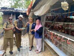 Telur GAYATRI Dongkrak Ekonomi Warga Prayungan Sumberrejo