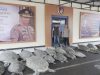 Polda Bali Gagalkan Penyelundupan 22 Ekor Penyu Hijau di Perairan Pulau Serangan